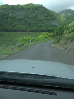 Enlarge photo 173