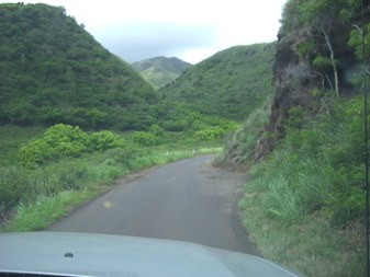 Enlarge photo 20