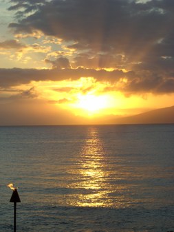 Enlarge photo 183