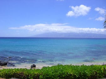 Enlarge photo 35