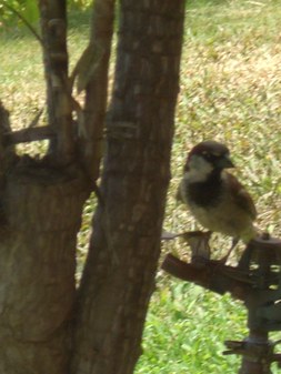Enlarge photo 184