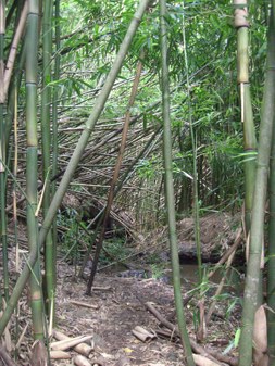 Enlarge photo 140