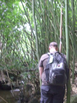 Enlarge photo 142