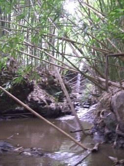 Enlarge photo 143