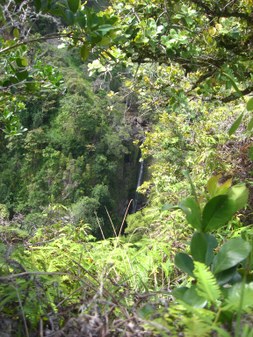 Enlarge photo 185