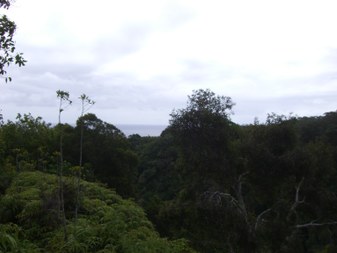 Enlarge photo 43