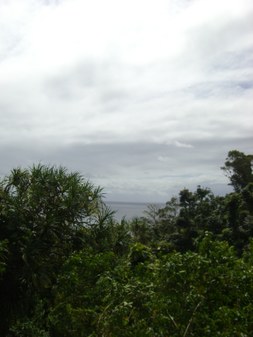 Enlarge photo 186