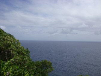 Enlarge photo 44