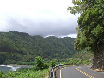 Enlarge photo 52