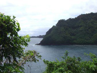 Enlarge photo 55