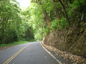 Enlarge photo 58