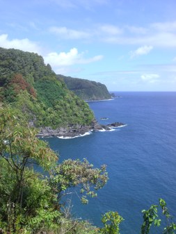 Enlarge photo 145