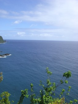 Enlarge photo 149