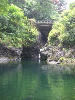 Enlarge photo 147