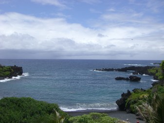 Enlarge photo 61