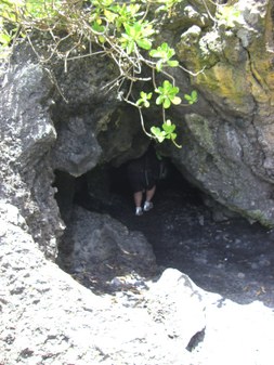 Enlarge photo 151