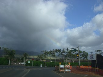 Enlarge photo 63