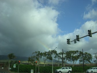 Enlarge photo 66