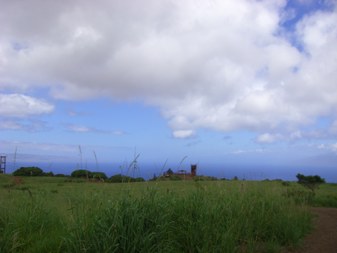 Enlarge photo 72