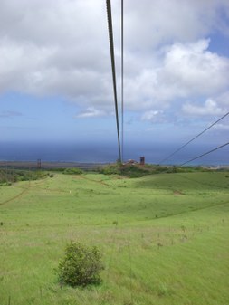 Enlarge photo 153