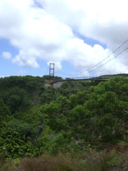 Enlarge photo 158