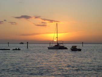 Enlarge photo 76