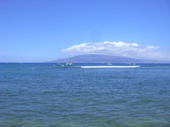 Enlarge photo 85