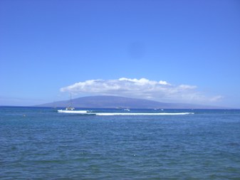 Enlarge photo 84