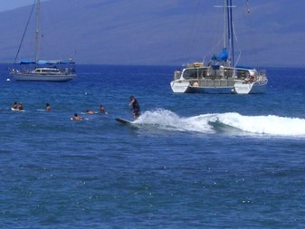 Enlarge photo 87