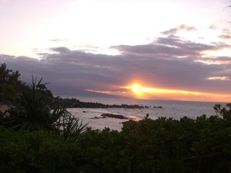 Enlarge photo 94
