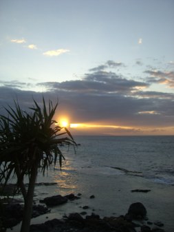 Enlarge photo 160