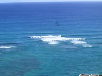 Enlarge photo 99