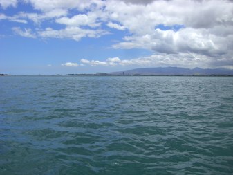 Enlarge photo 112