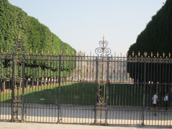Enlarge photo 33