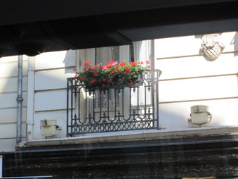 Enlarge photo 41