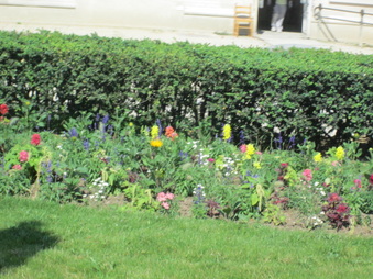 Enlarge photo 70