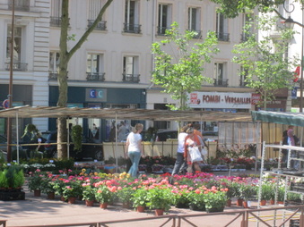 Enlarge photo 313