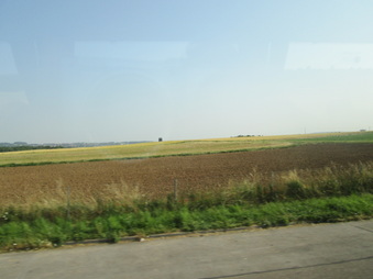 Enlarge photo 254