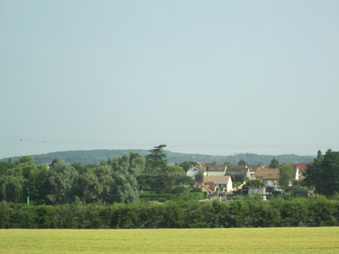 Enlarge photo 255