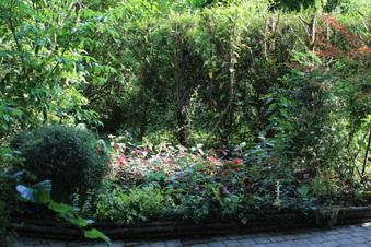 Enlarge photo 178