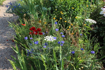 Enlarge photo 183