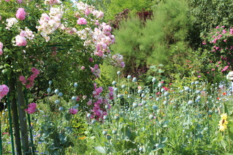 Enlarge photo 204