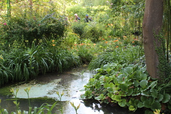 Enlarge photo 208