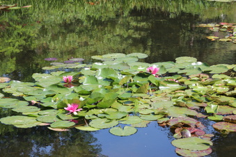 Enlarge photo 212