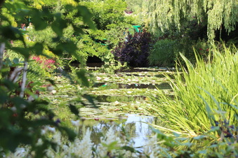 Enlarge photo 213