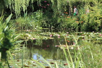 Enlarge photo 214