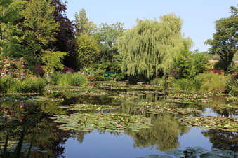 Enlarge photo 218
