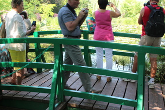 Enlarge photo 222