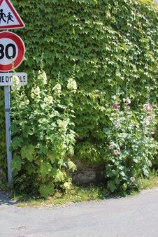 Enlarge photo 229