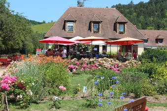 Enlarge photo 251